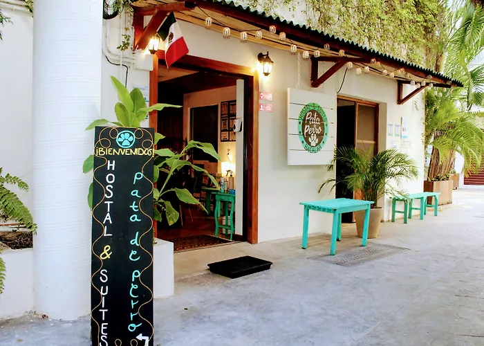 Pata De Perro Bacalar