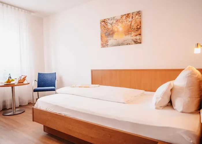 Jacuzzi-Hotel: Hotel&Restaurant Goldener Pflug