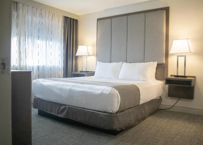 Western Plus Sands