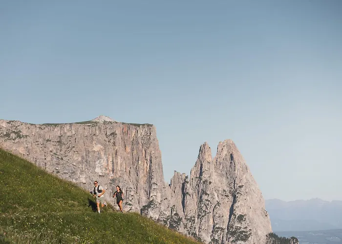 Brunelle Seiser Alm