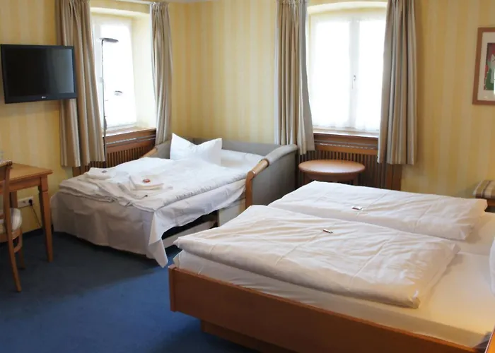 Flair Schwanen