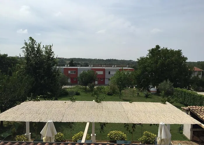  Vera