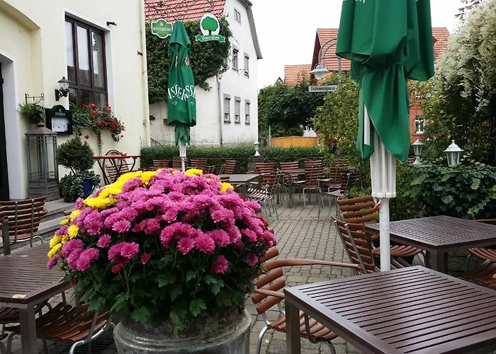 Hotel: Hotel-Landgasthof Grüner Baum - Dittigheim