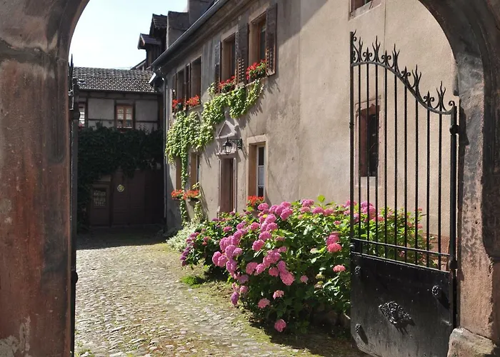 Les Hortensias