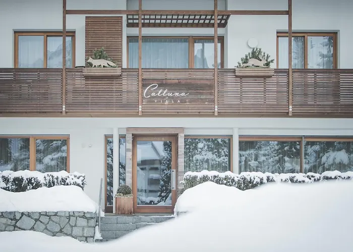Skihotel: Residence Villa Calluna