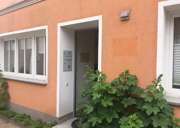  Nr.31